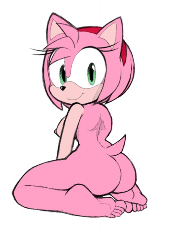 amy rose (sonic the hedgehog (series) and etc) created by hintofmint