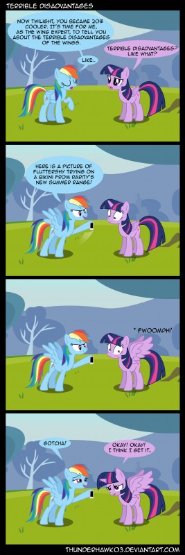 rainbow dash and twilight sparkle (friendship is magic and etc) created by thunderhawk03