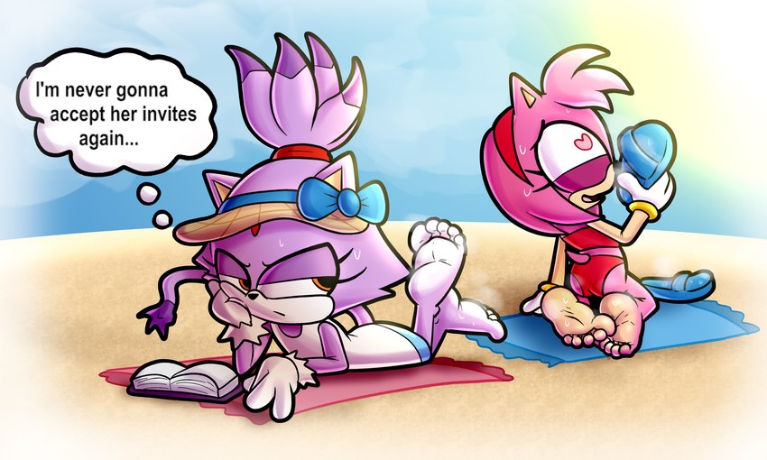 amy rose and blaze the cat (sonic the hedgehog (series) and etc) created by baggy (artist)