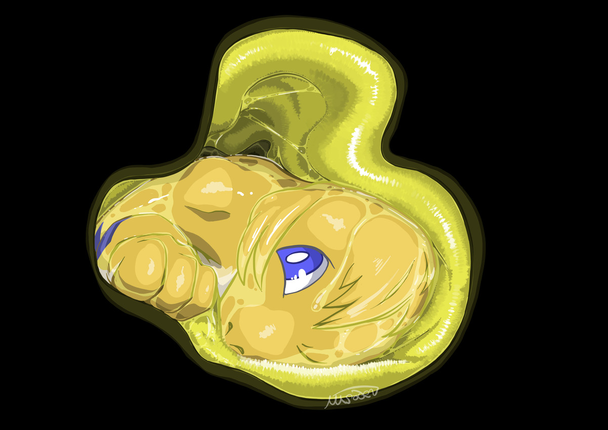 sapla created by misoden