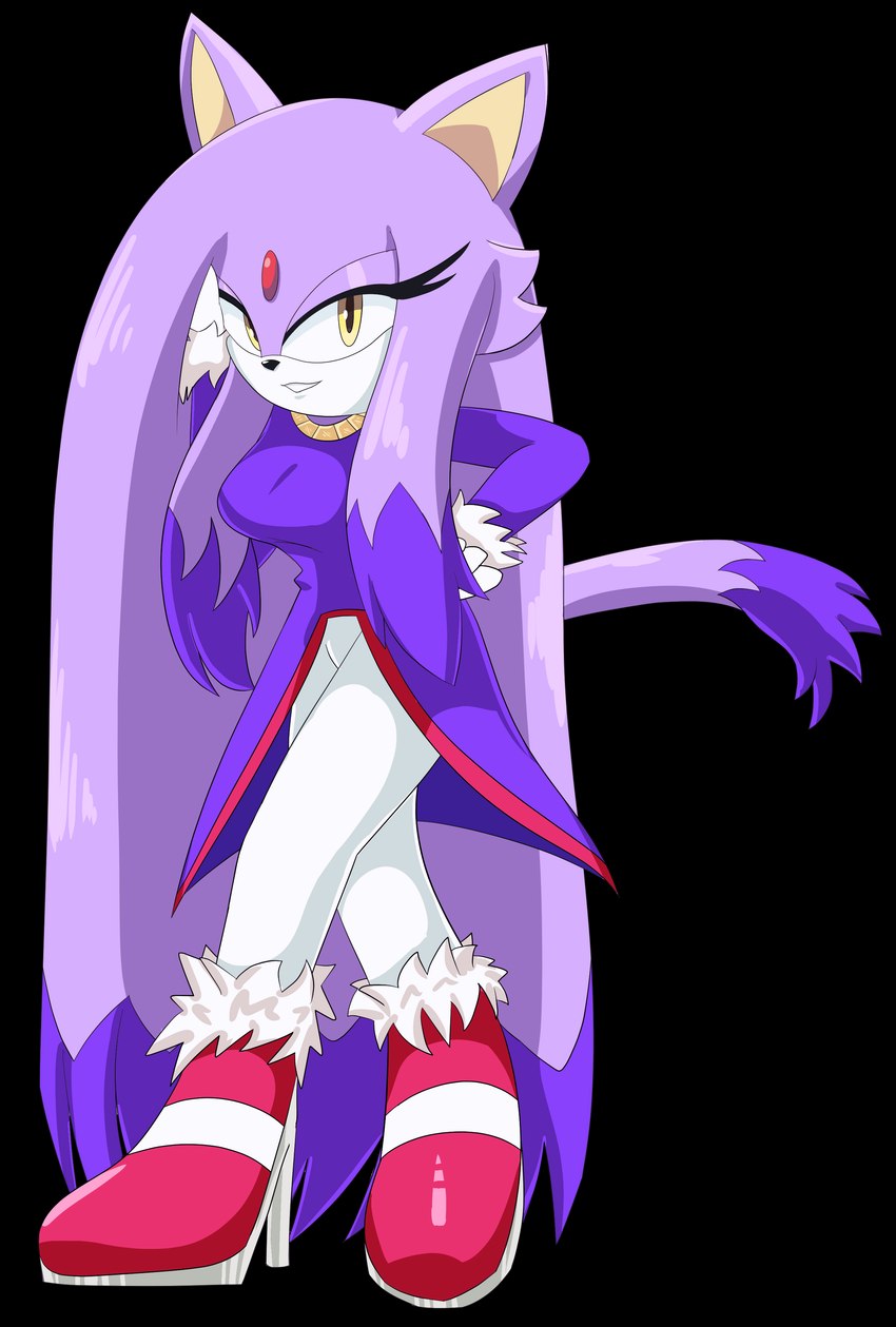 blaze the cat (sonic the hedgehog (series) and etc) created by rougethedaisy