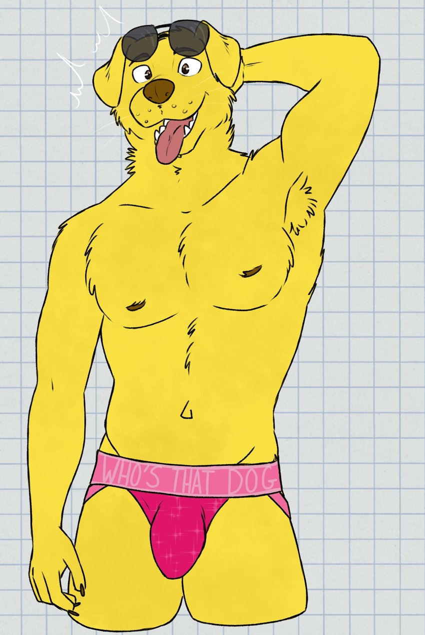 mr. peanutbutter (bojack horseman and etc) created by unsafescapewolf