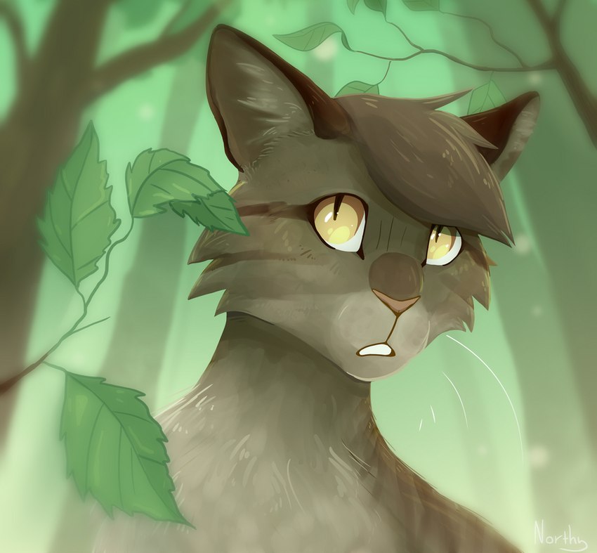 leafpool (warriors (book series)) created by northflowo