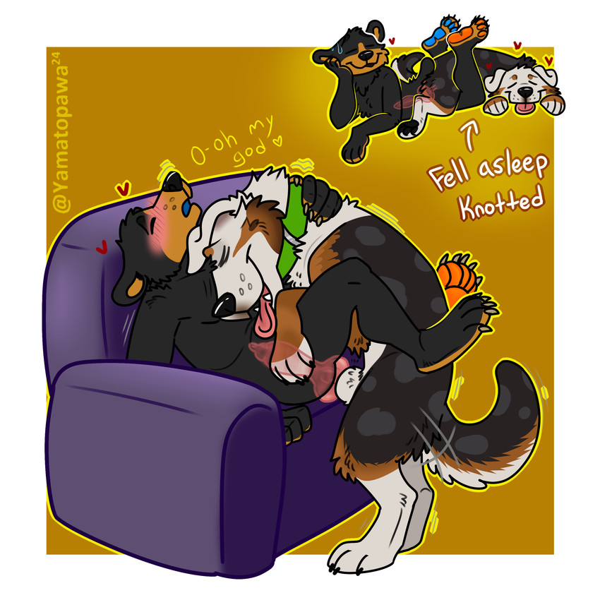 dog and yamato burr created by yamatopawa and yasuno