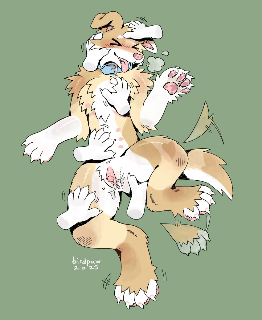 created by birdpaw (artist)