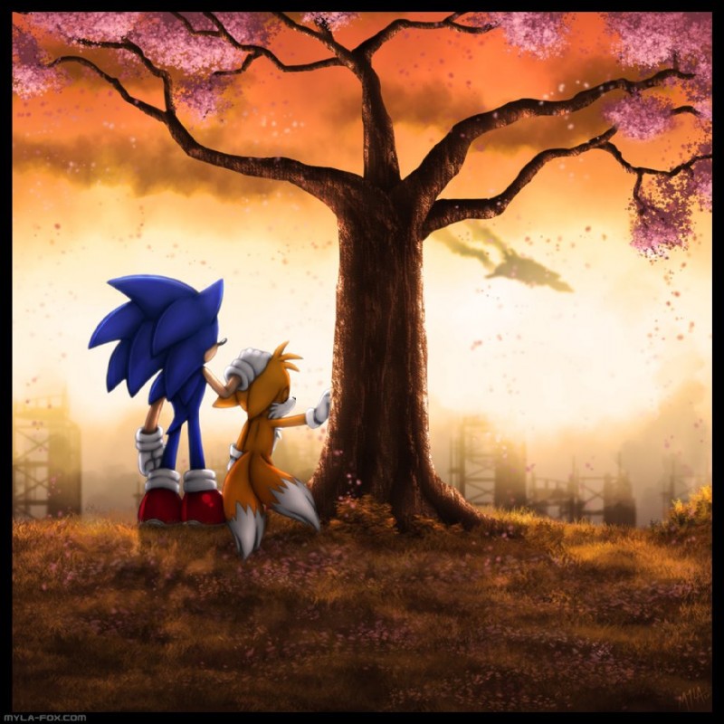 miles prower and sonic the hedgehog (sonic the hedgehog (series) and etc) created by mylafox