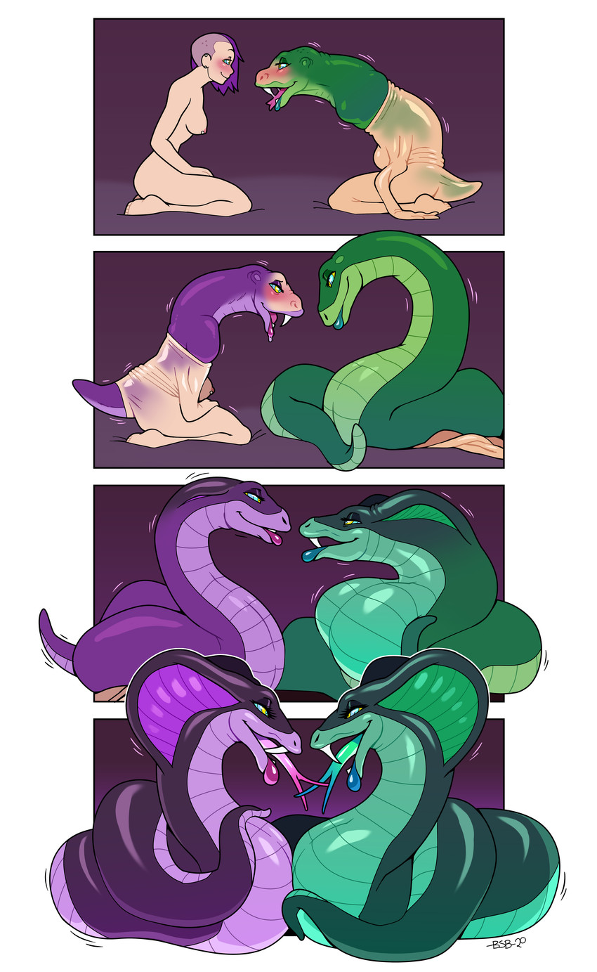 created by blackshirtboy