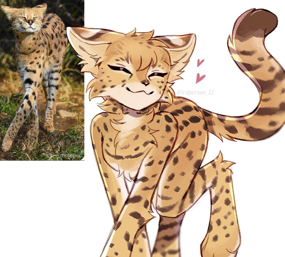 created by 3rdperson iz