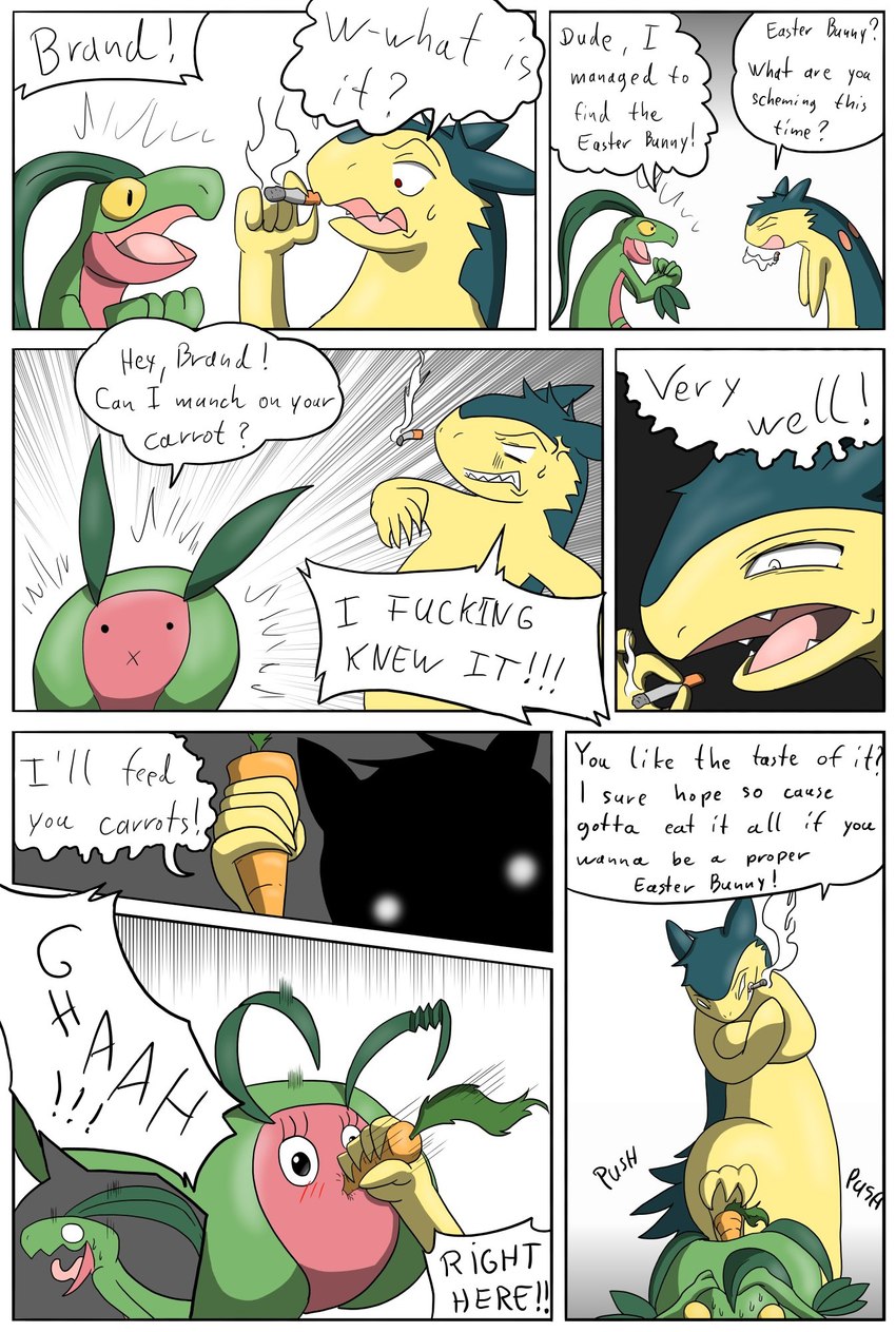 barnim the grovyle and brand the typhlosion (nintendo and etc) created by macro710 and thatweirdguy