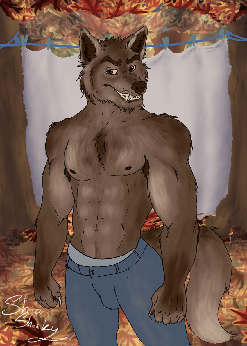 created by shiashnaky