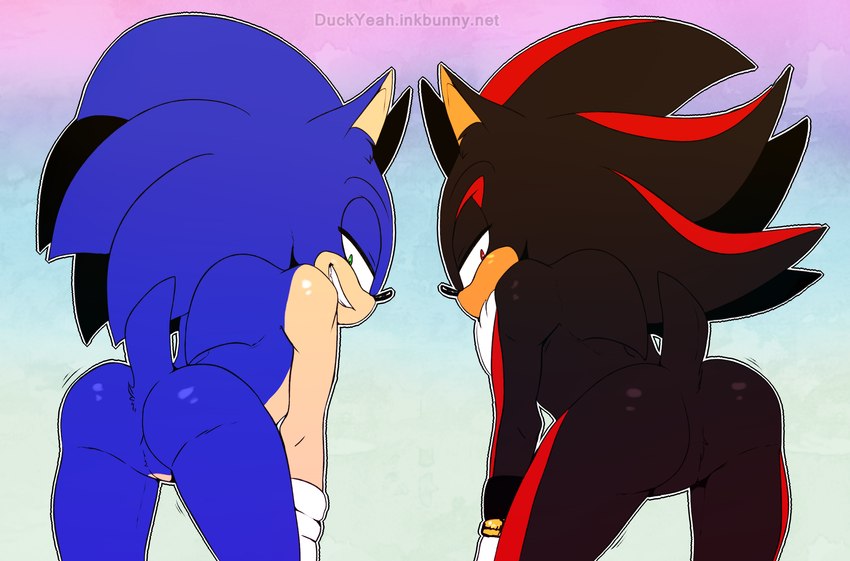 shadow the hedgehog and sonic the hedgehog (sonic the hedgehog (series) and etc) created by duckyeah