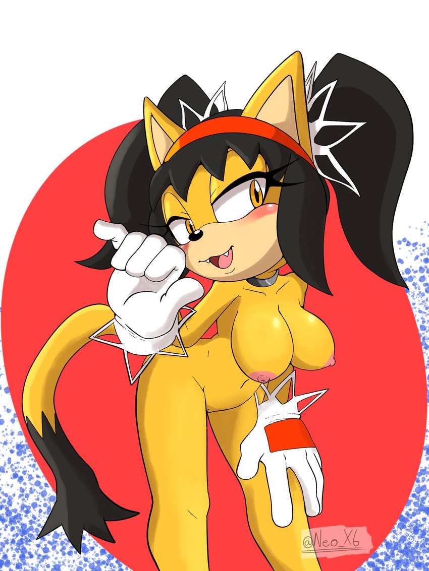 honey the cat (sonic the hedgehog (series) and etc) created by neo x6