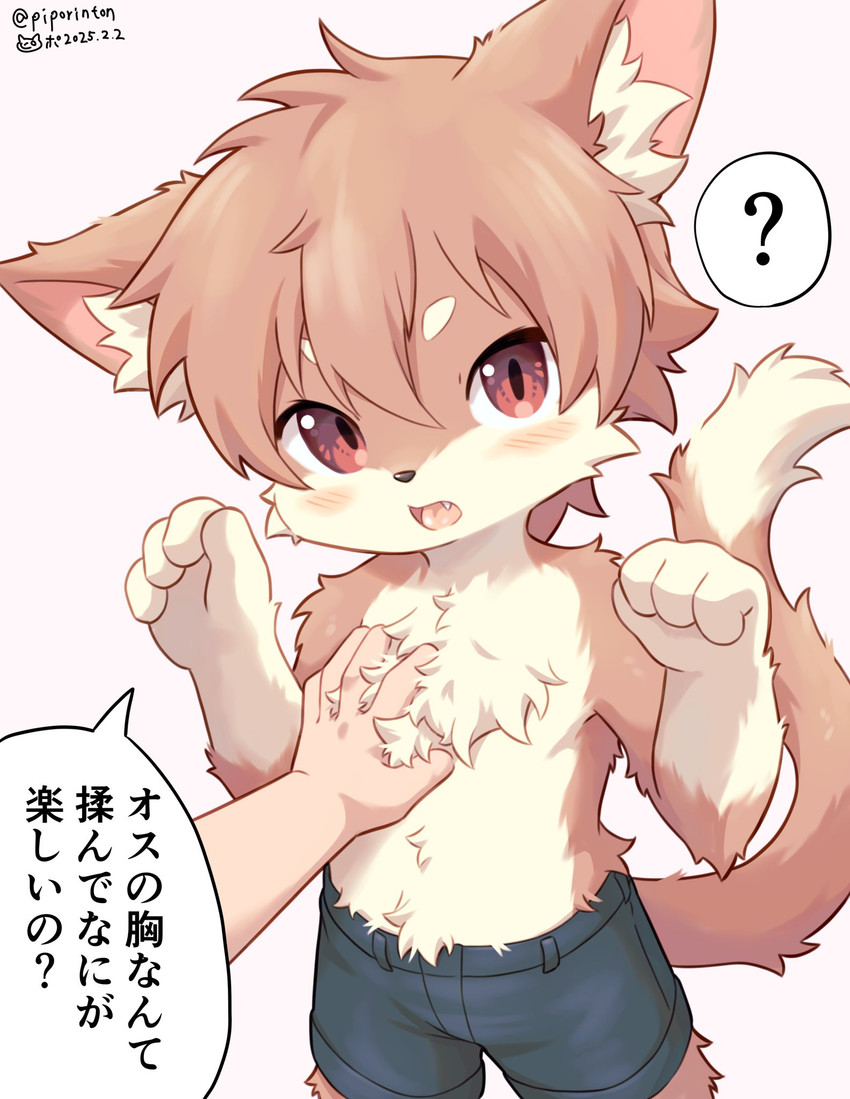 created by piporinton