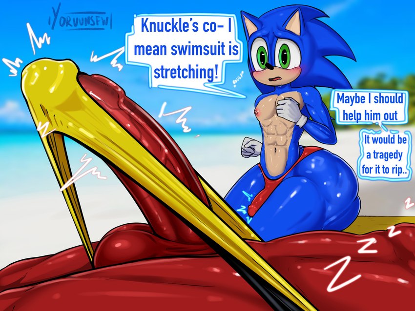 knuckles the echidna and sonic the hedgehog (sonic the hedgehog (series) and etc) created by yoruunsfw