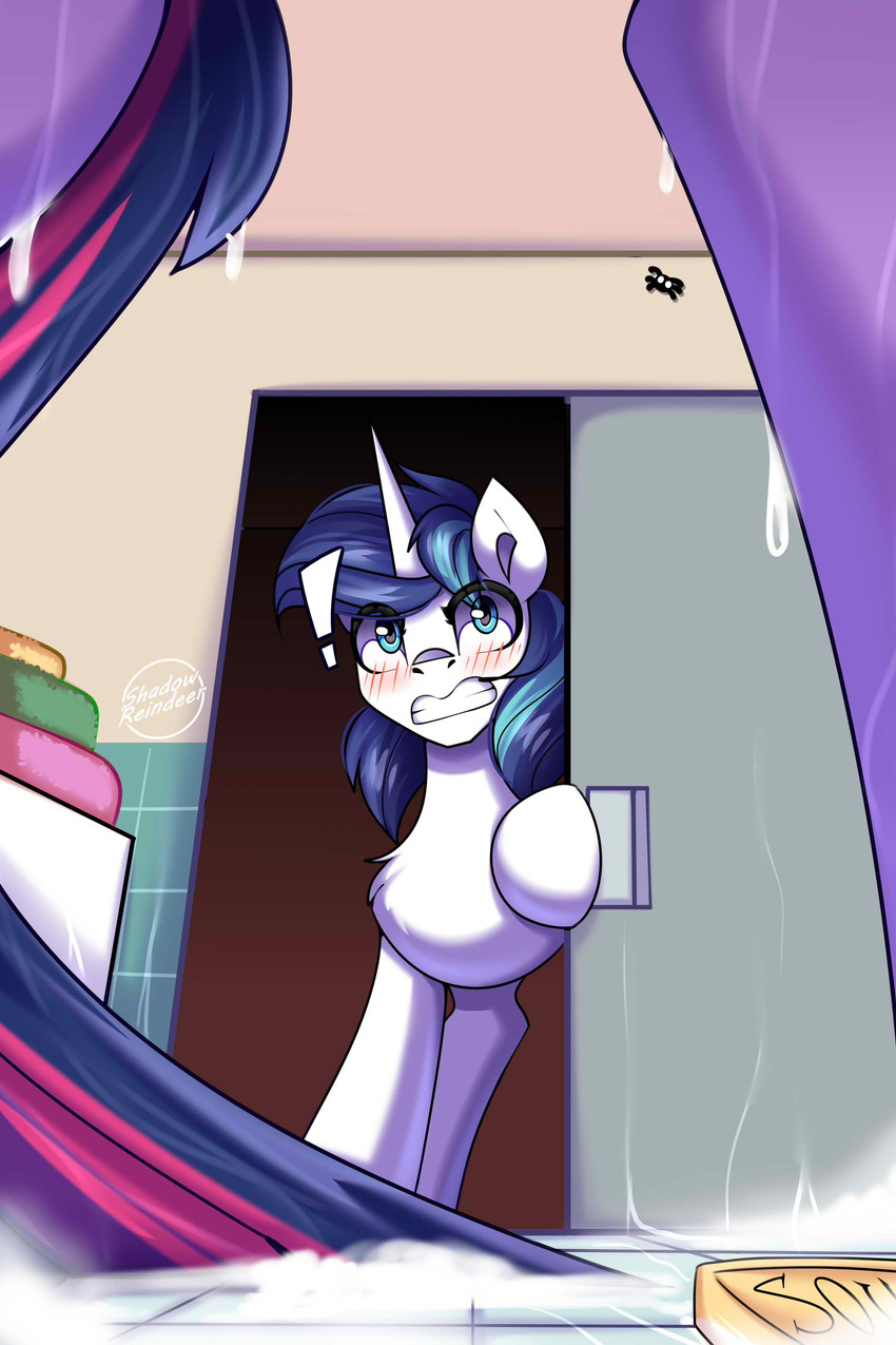 shining armor and twilight sparkle (don't drop the soap and etc) created by shadowreindeer