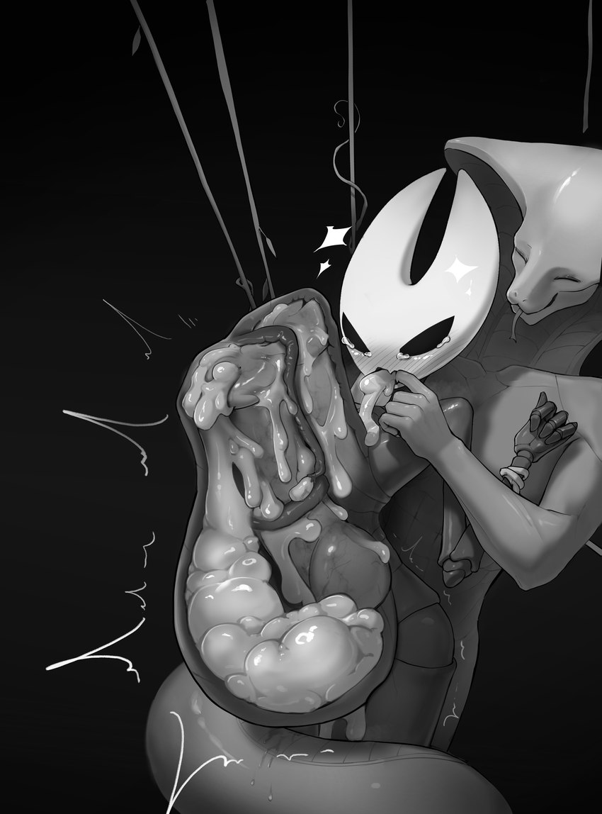 hornet (hollow knight and etc) created by middle night