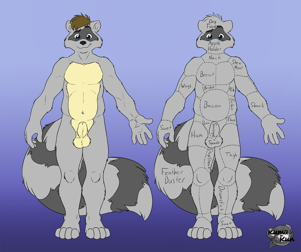 din fleetpaw created by kuma kun