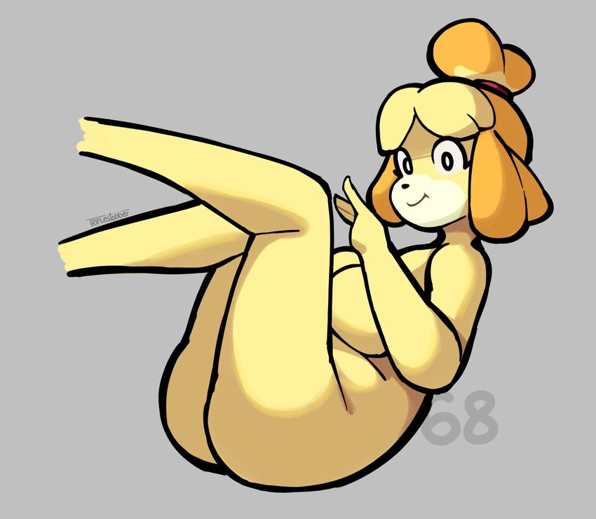 isabelle (animal crossing and etc) created by triplestabber