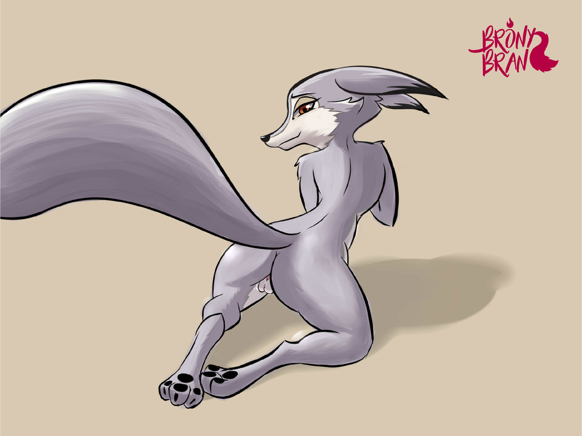 zhen (kung fu panda and etc) created by bronybran