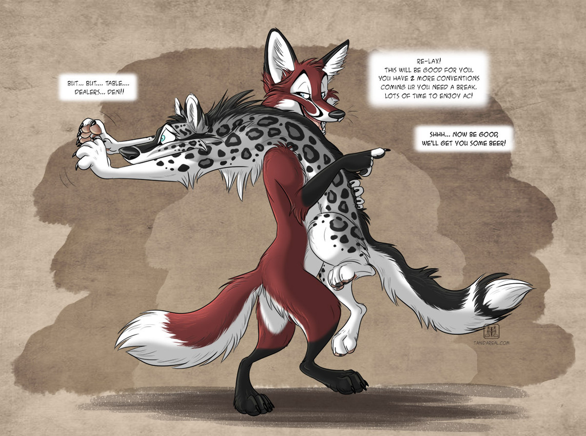 nightfox and tanidareal created by tani da real