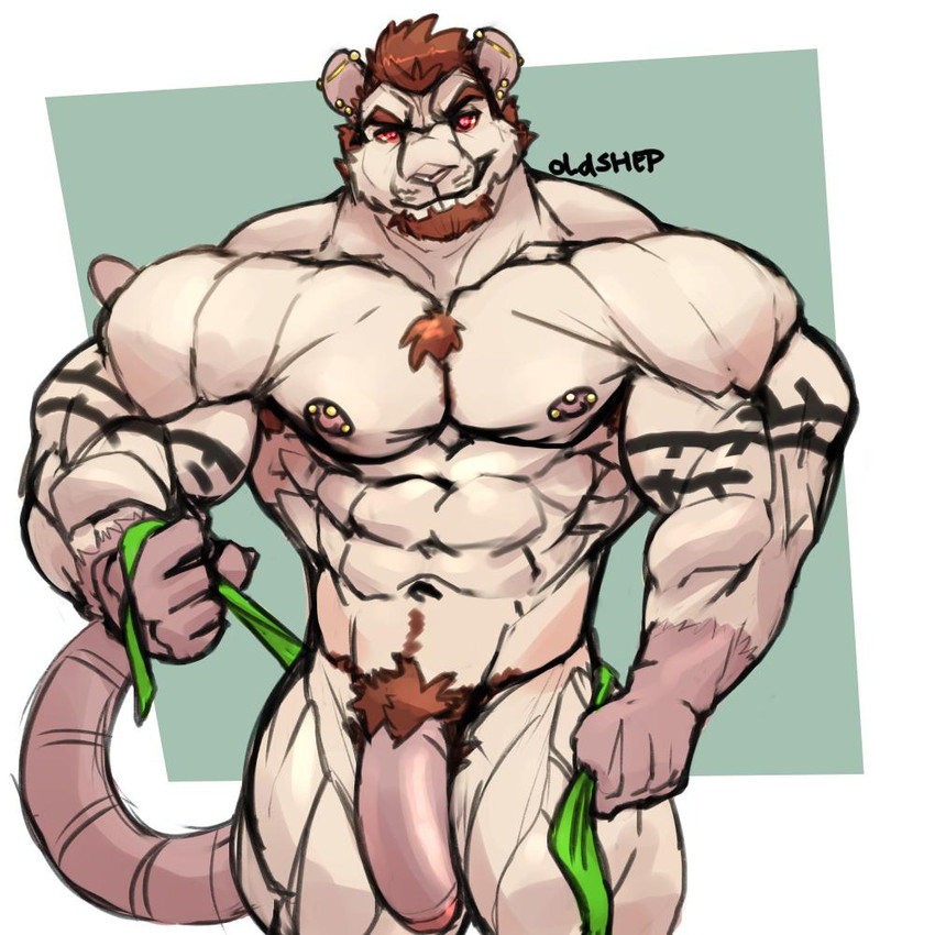 timothy "brofessor" fessenden created by oldshep