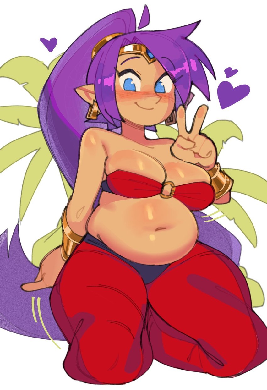 shantae (shantae (series) and etc) created by wamudraws