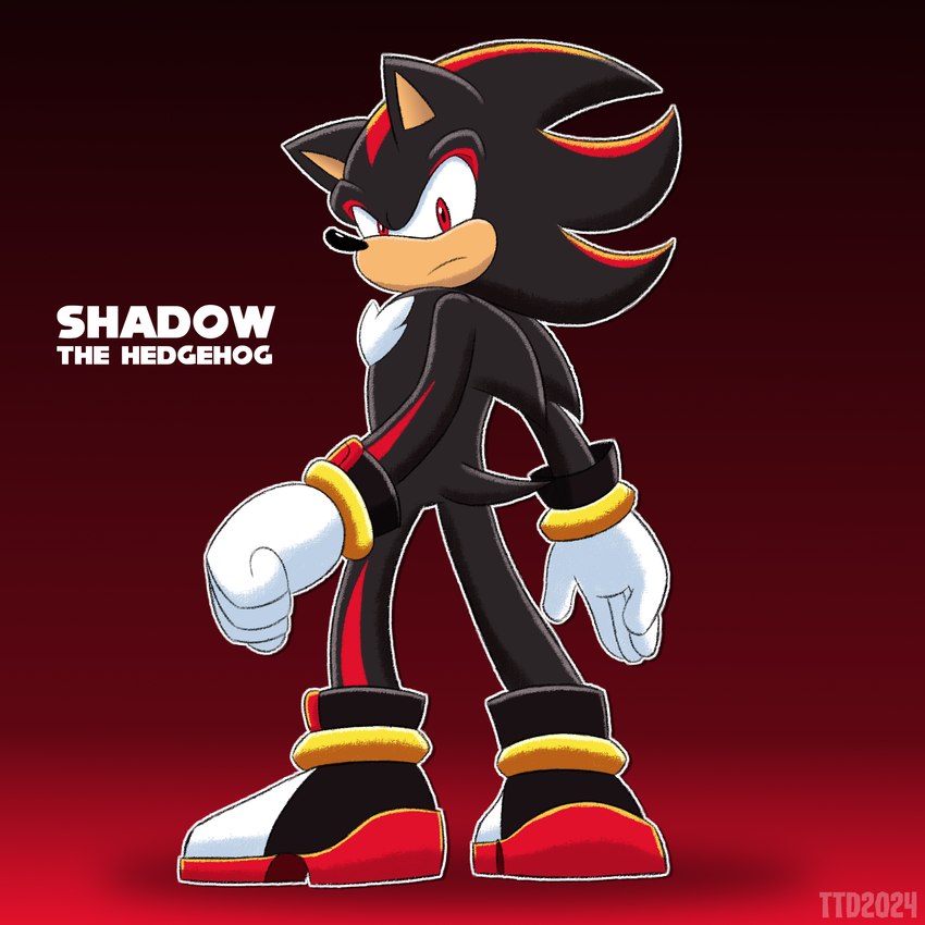 shadow the hedgehog (sonic the hedgehog (series) and etc) created by travis the dragon