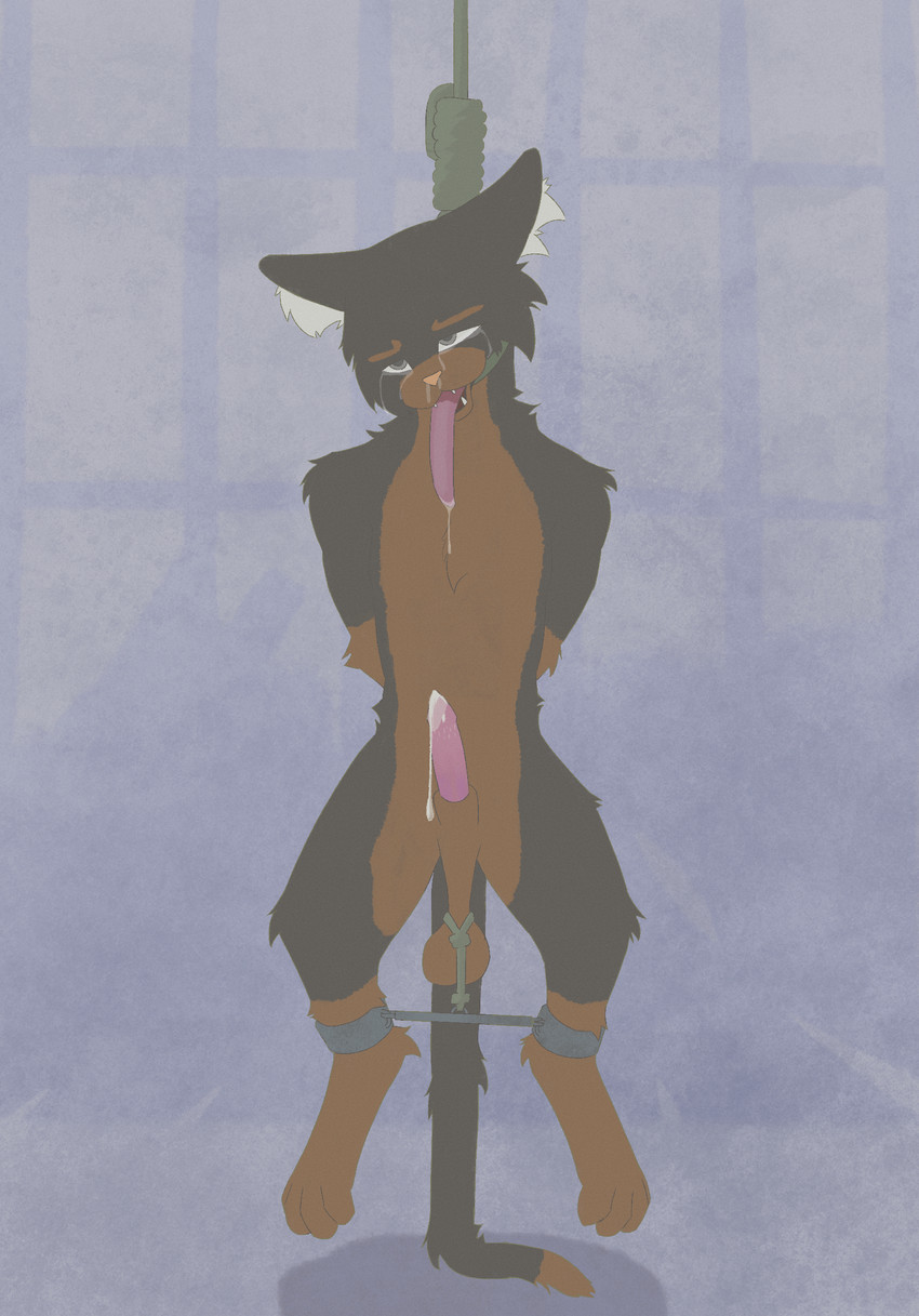 created by chuchochi