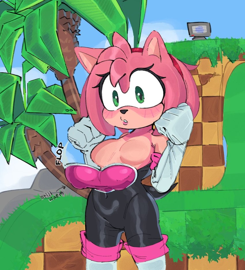 amy rose and rouge the bat (sonic the hedgehog (series) and etc) created by magnetstuff