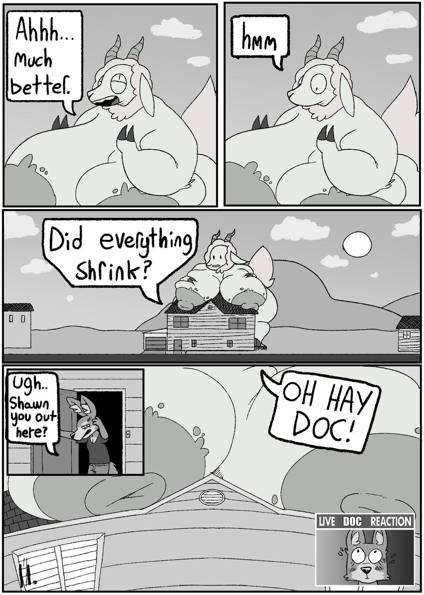 doc and shawn created by living lupis