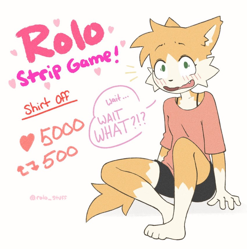 rolo created by rolo stuff and yoako