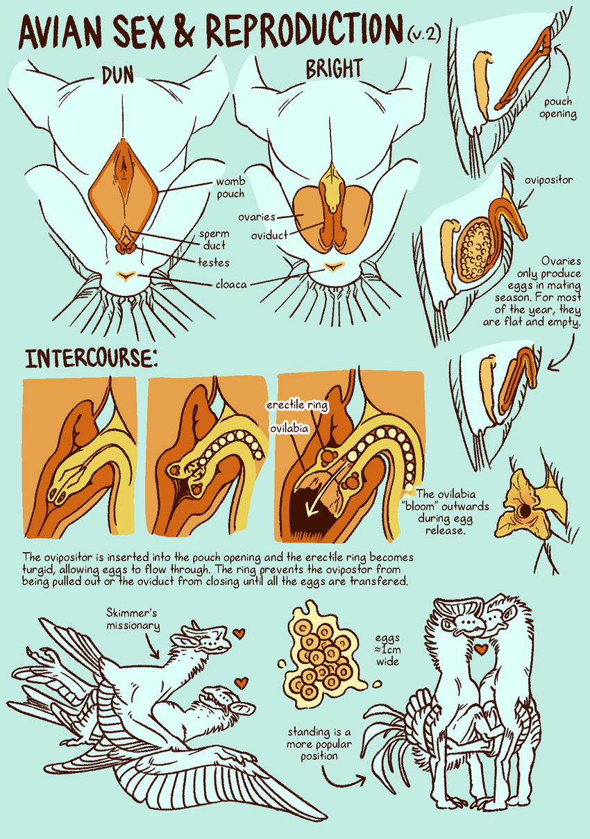 runaway to the stars created by jayrockin