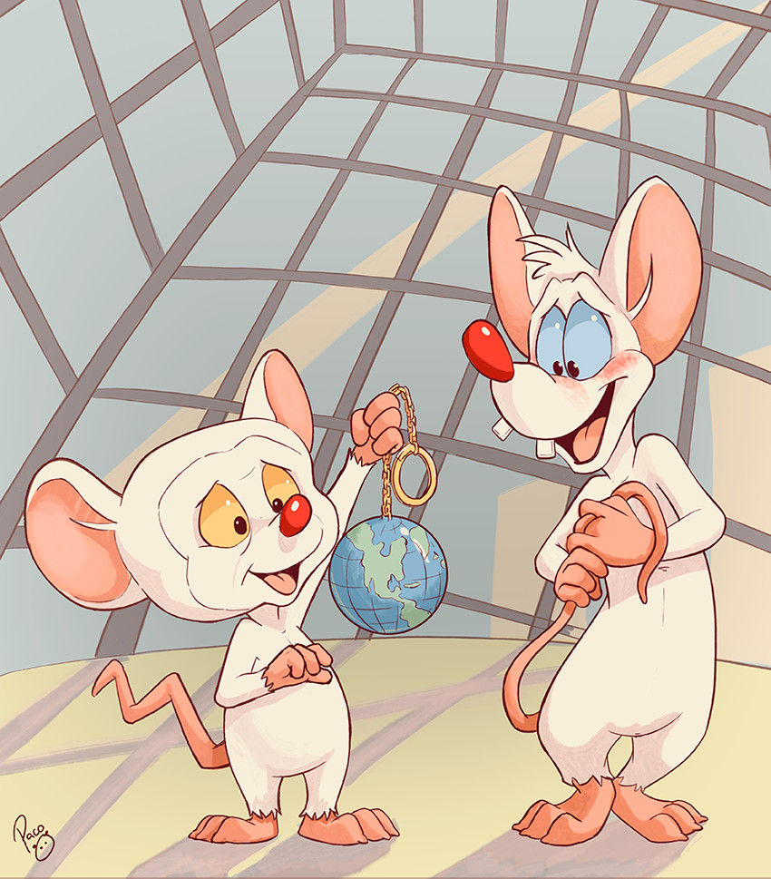 pinky and the brain (pinky and the brain and etc) created by pandapaco