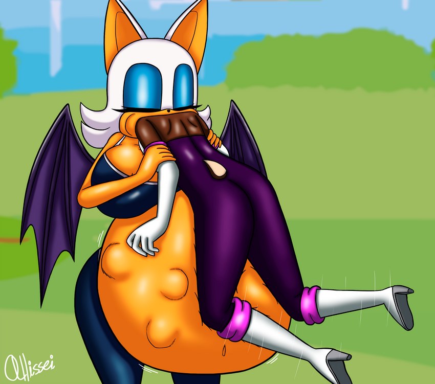 rouge the bat (sonic the hedgehog (series) and etc) created by allissei