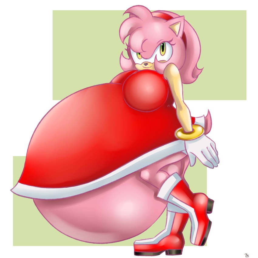 amy rose (sonic the hedgehog (series) and etc) created by bug pk