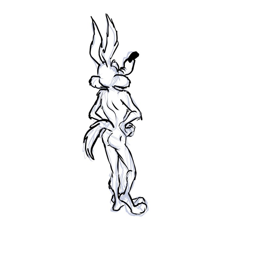 wile e. coyote (warner brothers and etc) created by stevethedragon