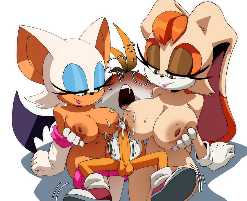 miles prower, rouge the bat, and vanilla the rabbit (sonic the hedgehog (series) and etc) created by inker comics