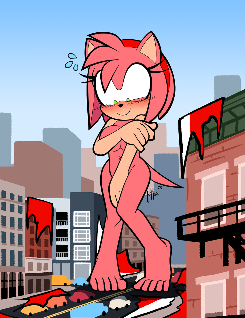 amy rose (sonic the hedgehog (series) and etc) created by lettuce (artist)