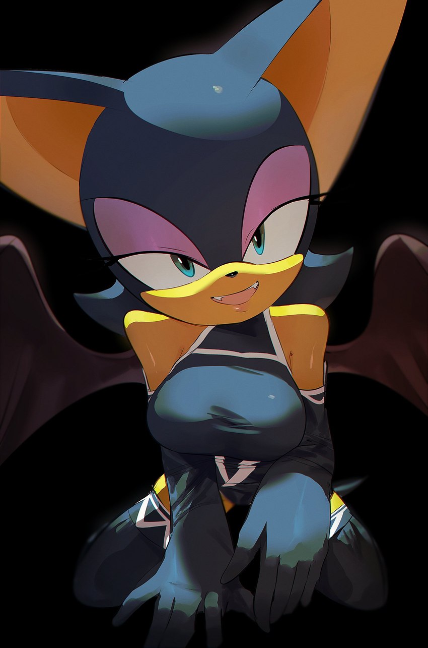 rouge the bat and rouge the bat (sonic the hedgehog (series) and etc) created by pachirisus