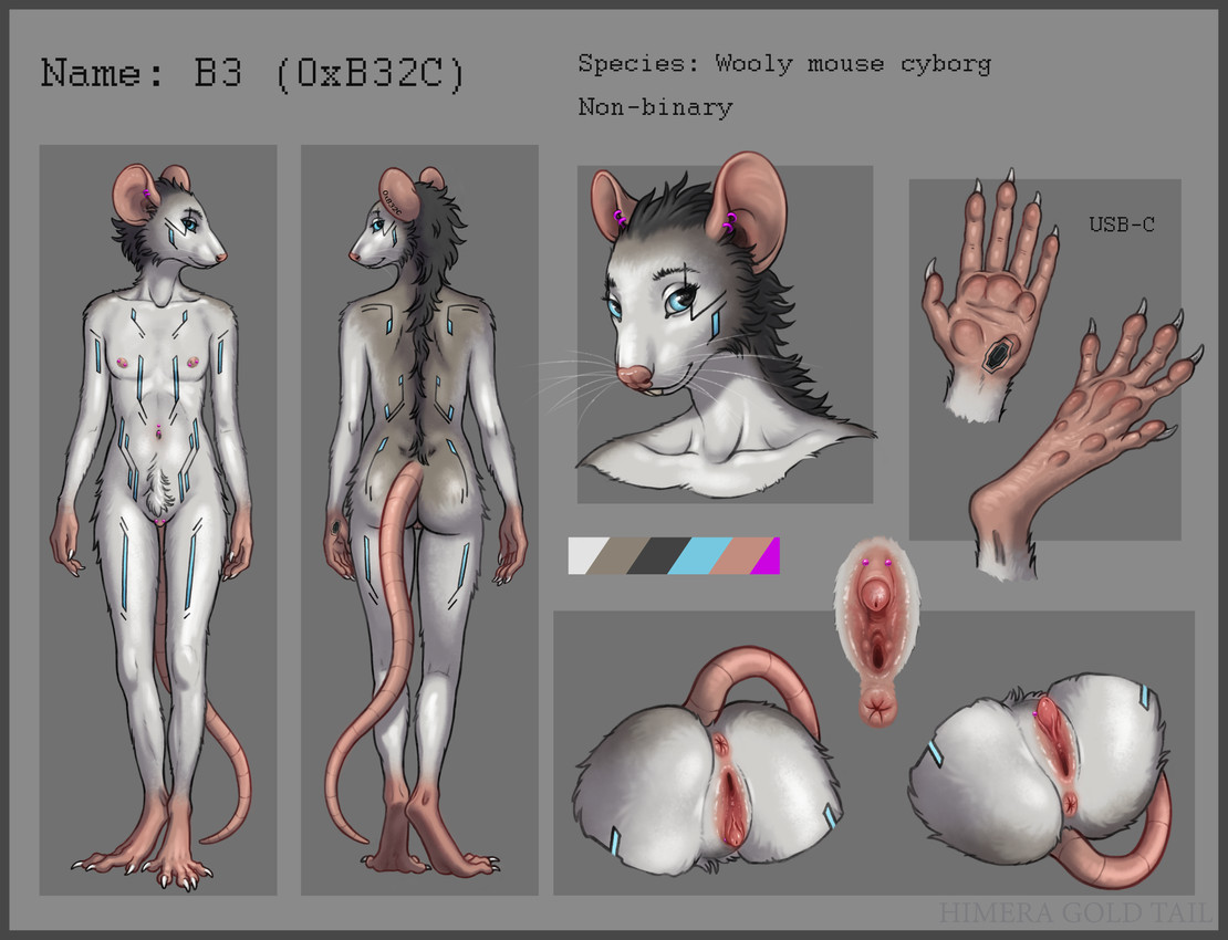 b3 created by himeragoldtail