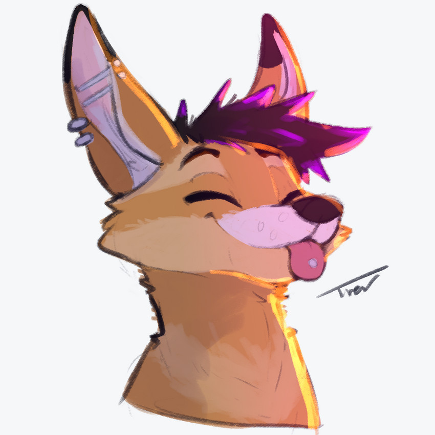 dubsthefox created by trevart