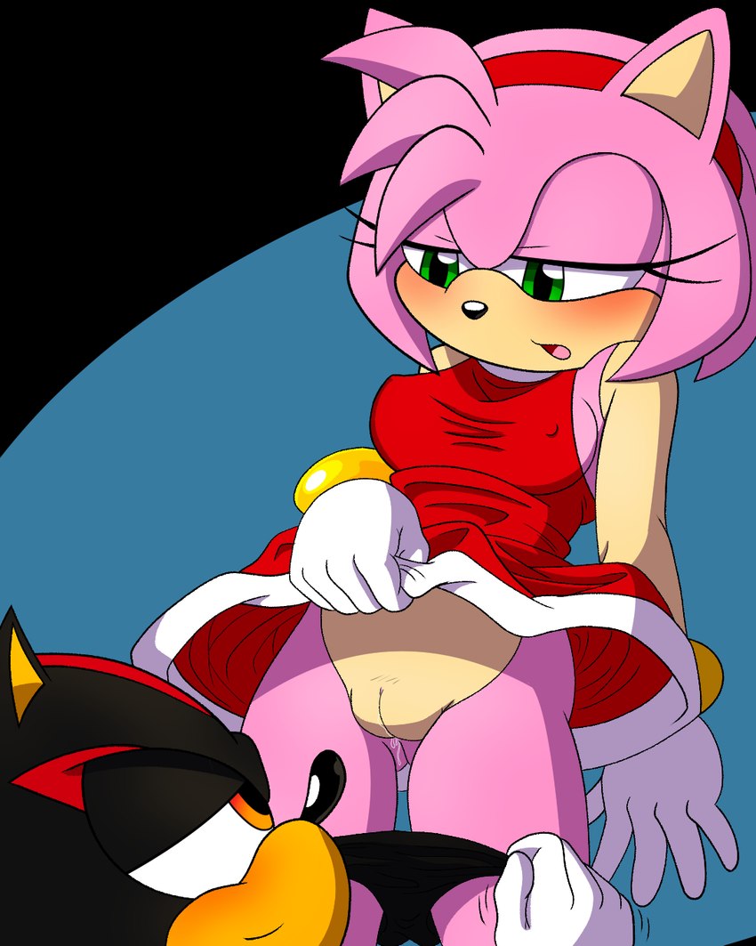 amy rose and shadow the hedgehog (sonic the hedgehog (series) and etc) created by zero95