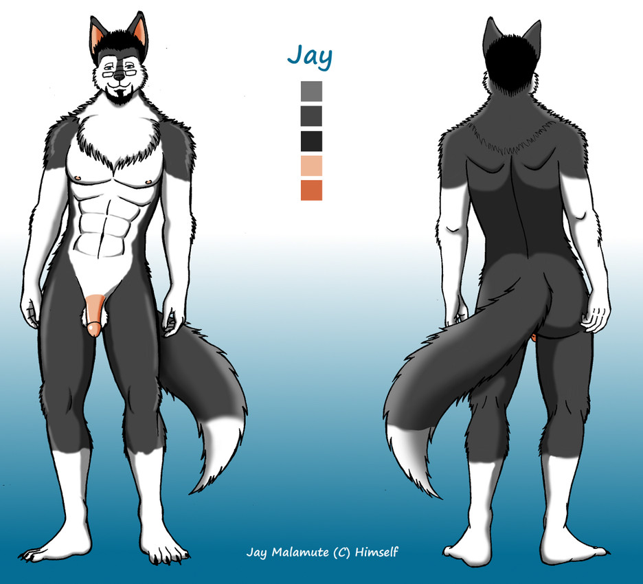 jay created by jay malamute