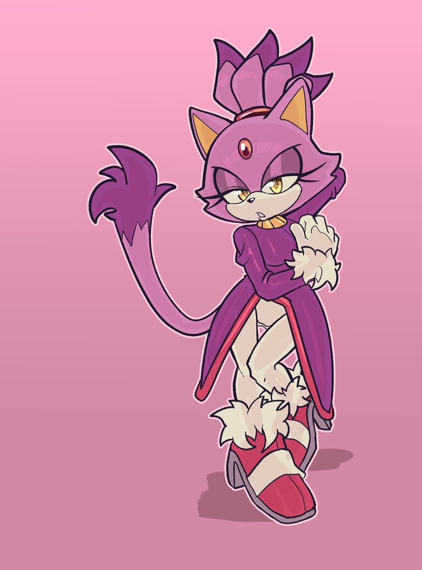 blaze the cat (sonic the hedgehog (series) and etc) created by karl0