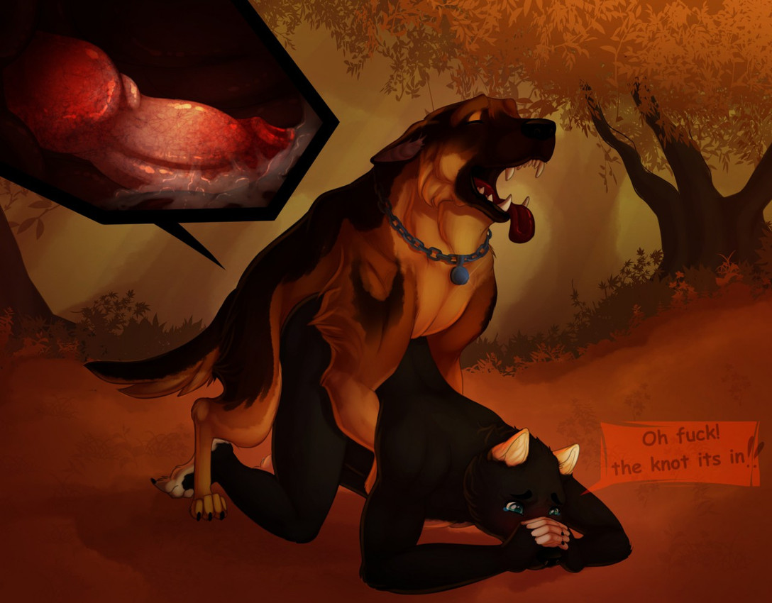 created by kamelotnoah