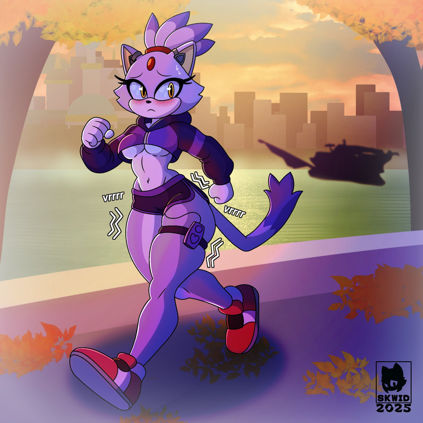 blaze the cat (sonic the hedgehog (series) and etc) created by skwid