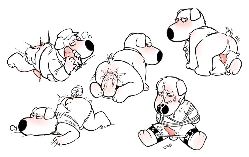 brian griffin (family guy) created by anonpupb