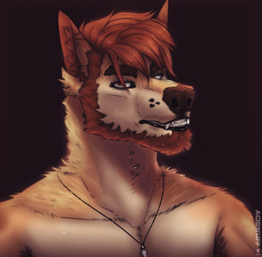 lobix created by acidwuff