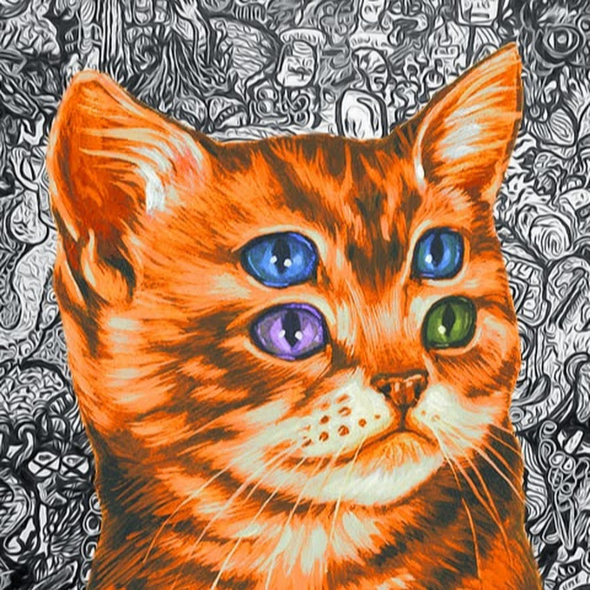 created by casey weldon