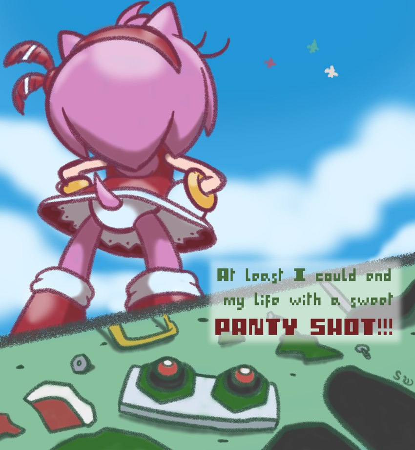 amy rose and zero (sonic the hedgehog (series) and etc) created by shadowwalk